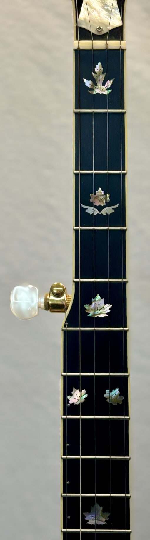 2001 Stelling Bill Emerson Red Fox Deluxe banjo with original hardshell case - Image 4