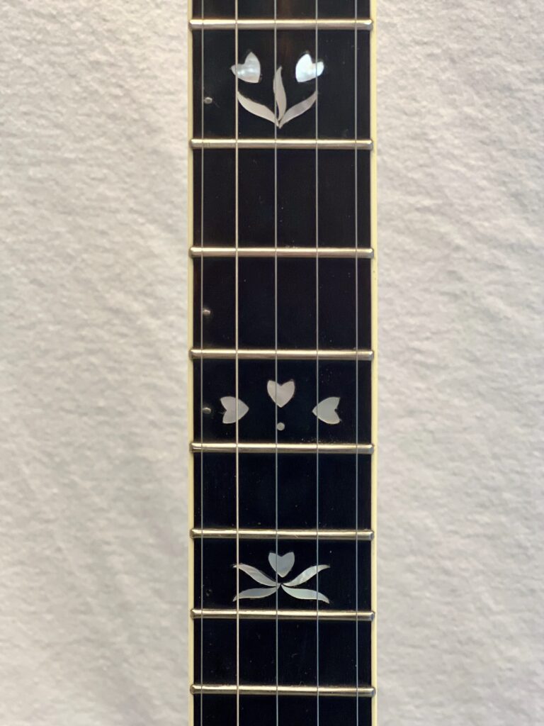 BanjoWarehouse.com