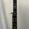 Close-up of Stelling Red Fox banjo fingerboard showing abalone leaf inlays and fretwork.