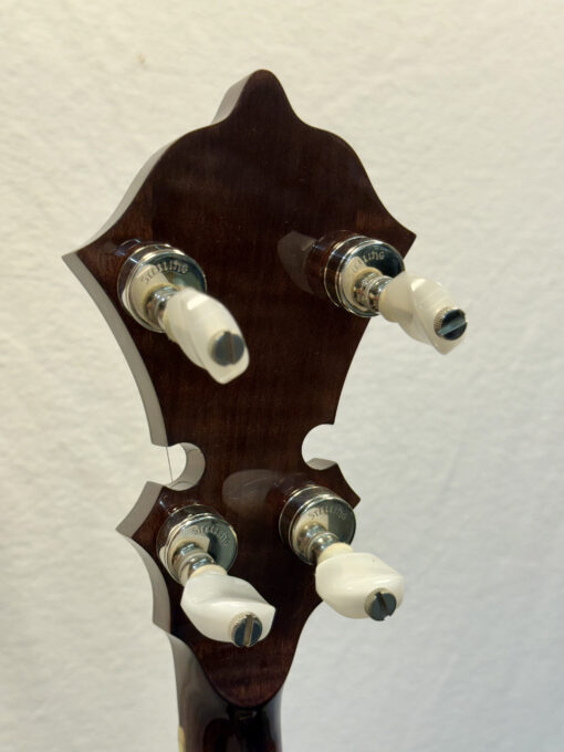 Back view of Stelling Red Fox banjo headstock showing four tuning pegs with Stelling hardware