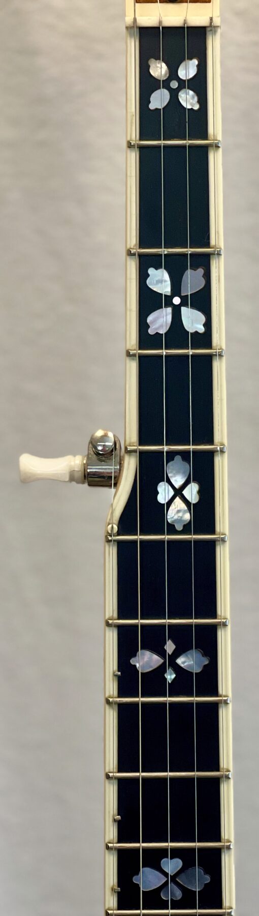 Recording King RKR-80 fretboard detail showing ebony fingerboard with mother-of-pearl floral position markers and nickel-plated hardware