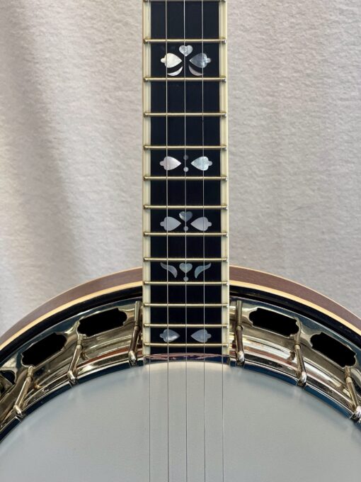 Recording King RKR-80 neck and fretboard view displaying bound ebony fingerboard with floral inlays and mahogany neck construction