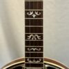 Rich & Taylor banjo resonator showing honest wear with light scratches - overall excellent condition