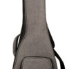 Heavy-duty padded gray gig bag included with Gold Tone ResoUke