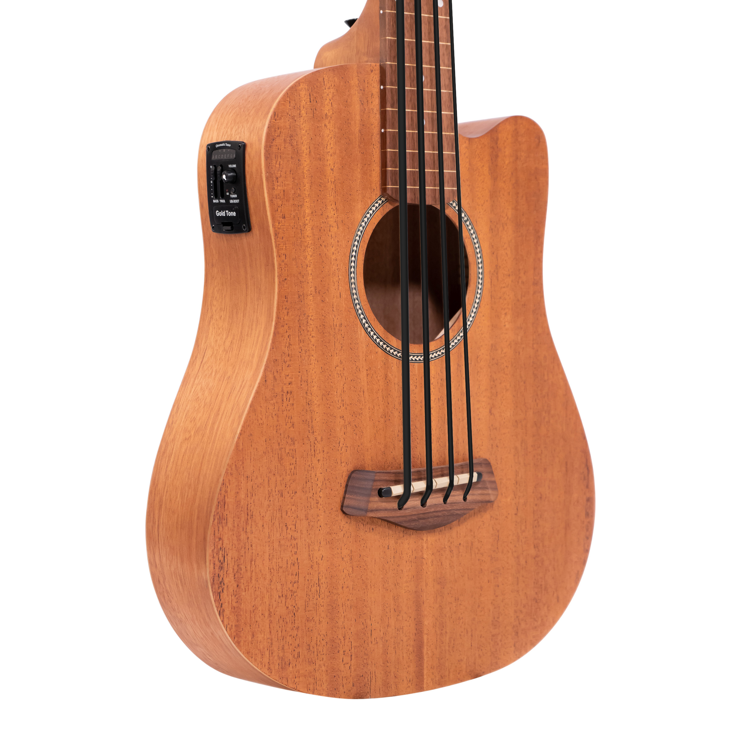 Gold Tone M-BassFL body closeup showing soundhole rosette and onboard EQ preamp panel