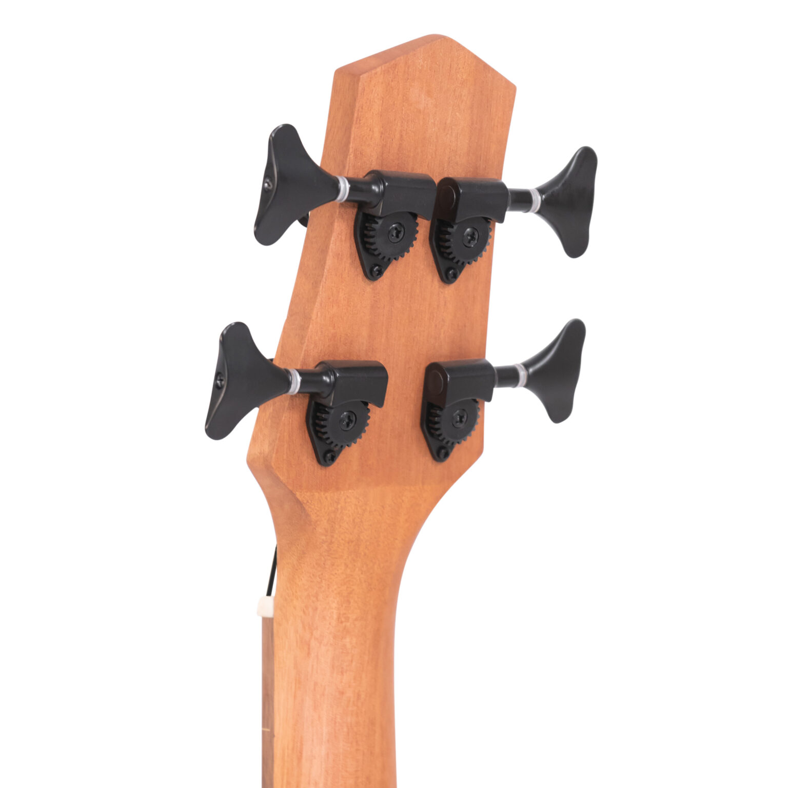 Gold Tone M-BassFL headstock back showing open-gear bass tuning machines