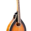 Gold Tone GM-50+ A-style mandolin with tobacco sunburst finish, solid spruce top, and curly maple body. Front view showing F-holes and adjustable bridge.