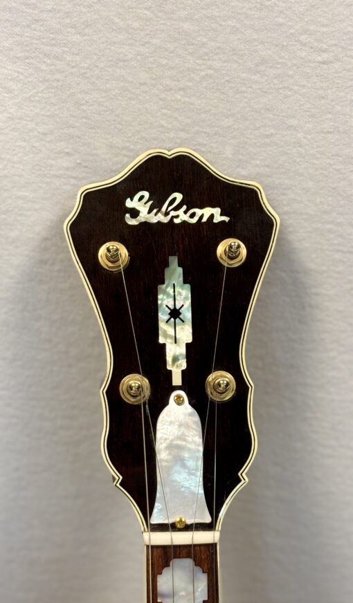 Bluegrass Resonator Banjos