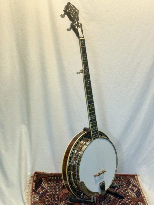 2005 Stelling Sunflower banjo full front view with case