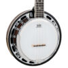Gold Tone Banjolele-DLX 8-inch pot detail with Remo head, chrome hardware, one-piece cast flange, and vintage brown maple rim