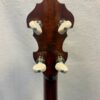 Back of peghead on Shelby Blackhawk banjo showing mahogany and Rickard tuners with white buttons