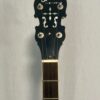 1926 Gibson TB-3 banjo upper frets with fifth string tuner and diamonds and squares inlay