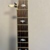 Recording King banjo upper neck showing 5th string tuner and fan inlays