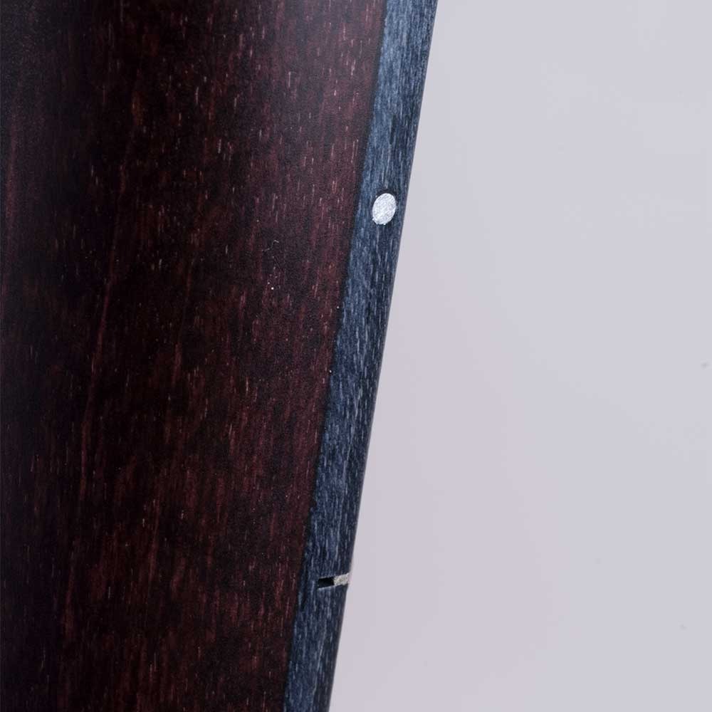 Deering Artisan Goodtime Special banjo neck side showing side dot markers and spike on midnight maple fingerboard