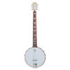 Deering Goodtime Six 6-string banjo front view