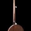 Gold Tone BG-175F Mastertone bluegrass banjo full back view showing mahogany neck and resonator