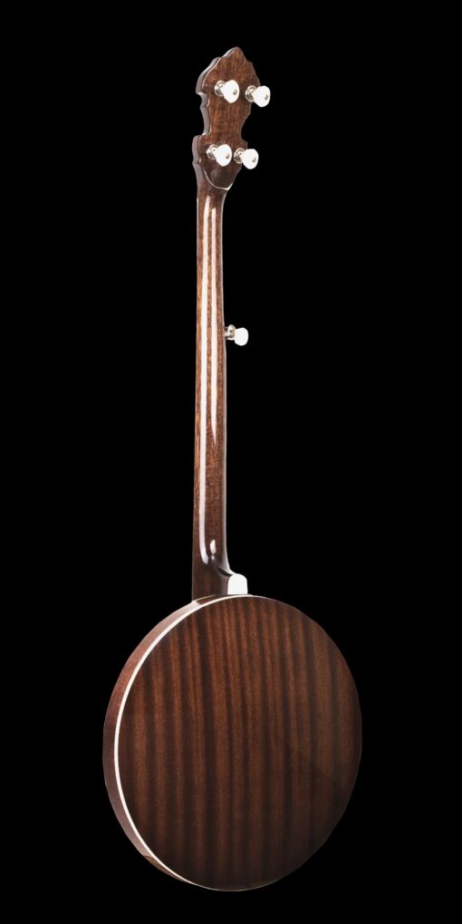 Gold Tone BG-175F Mastertone bluegrass banjo full back view showing mahogany neck and resonator