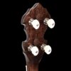 Gold Tone BG-175F Mastertone bluegrass banjo headstock back showing mahogany wood and GT planetary tuners