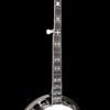 Gold Tone BG-175F Mastertone bluegrass banjo neck showing Flying Eagle mother-of-pearl inlays on rosewood fingerboard