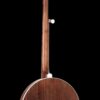 Gold Tone OB-12 Top Tension banjo full back view showing walnut neck and carved resonator