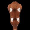 Gold Tone OB-12 Top Tension banjo headstock back showing walnut wood grain and Gotoh planetary tuners