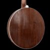 Gold Tone OB-12 Top Tension banjo walnut resonator back full view with white binding