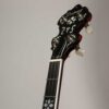 Deering Golden Era banjo front peghead with mother of pearl hearts and flowers inlay and Deering logo