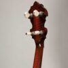 Deering Golden Era banjo rear peghead view showing curly maple with Cremona sunburst and planetary tuners