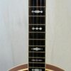 Gold Star GF-85 rosewood fretboard lower position showing leaves and bows inlay near body join