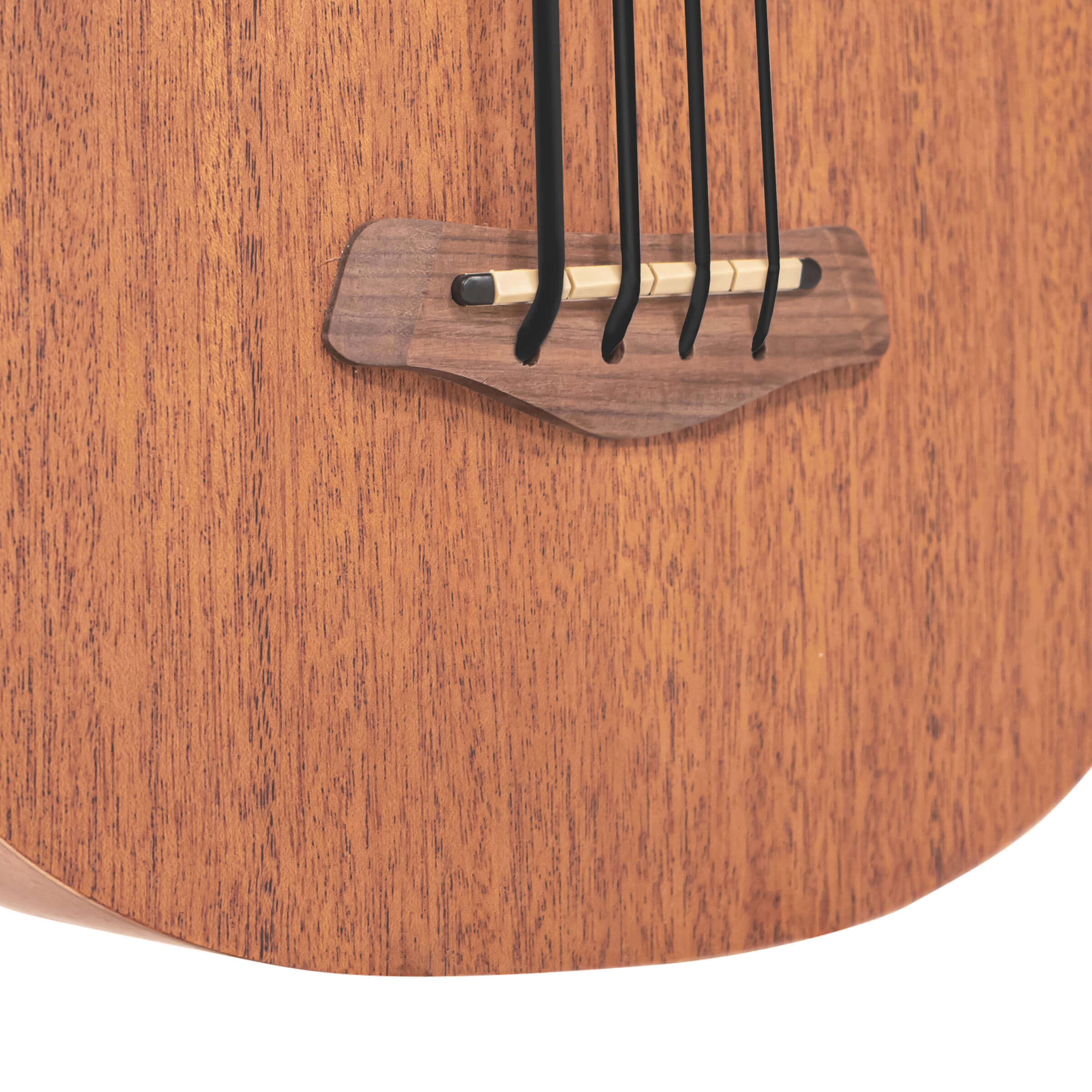 Gold Tone M-Bass25FL 25-Inch Scale Acoustic-Electric MicroBass with Gig Bag - Image 3