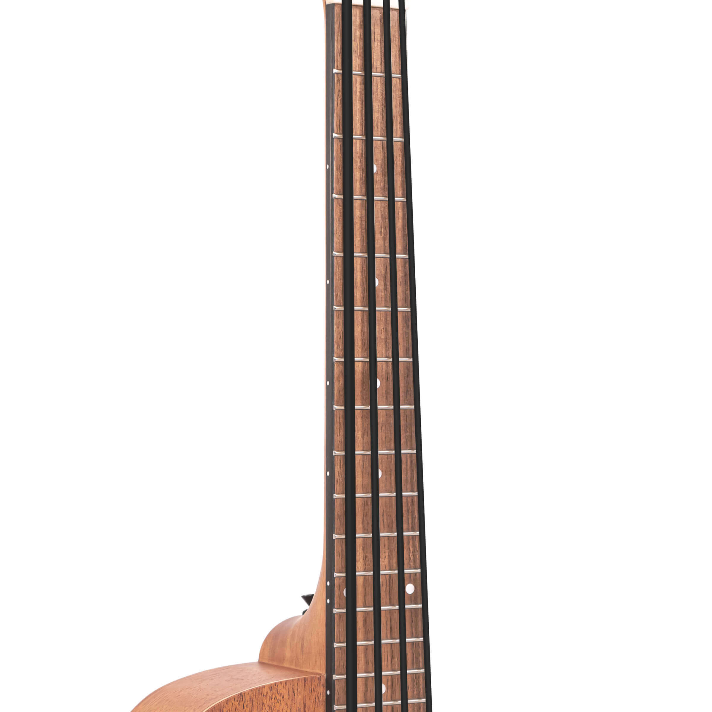 Gold Tone M-Bass25FL 25-Inch Scale Acoustic-Electric MicroBass with Gig Bag - Image 5