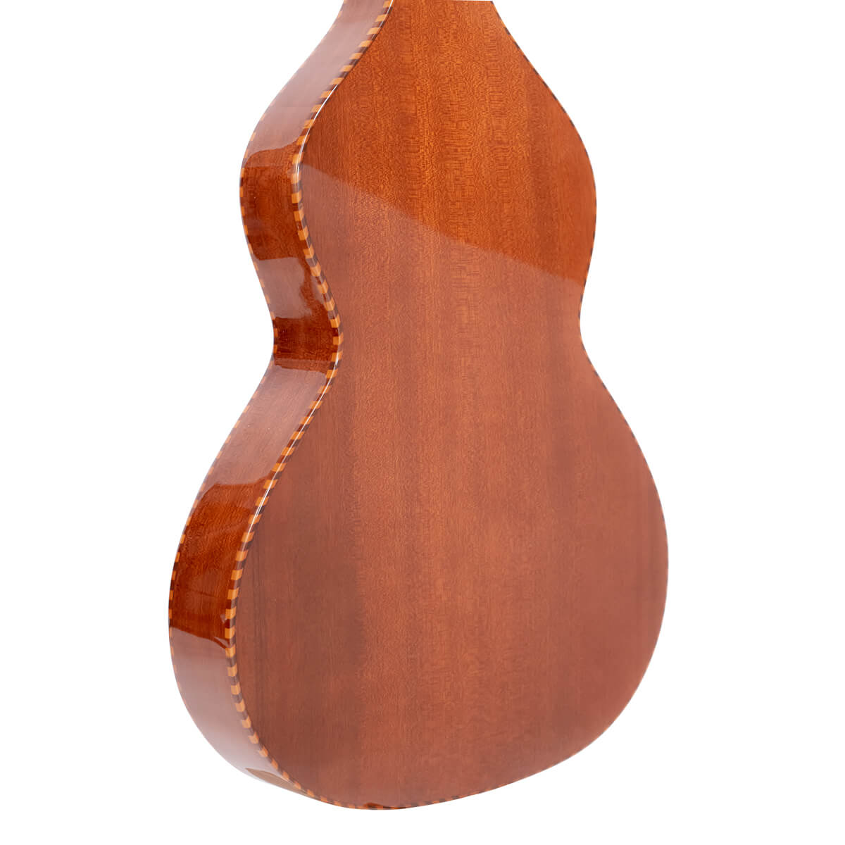 Solid mahogany back of the Gold Tone SM-Weissenborn Plus with high gloss finish and rope binding