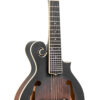 Gold Tone F-6 mando-guitar front view for comparison with A-6 model