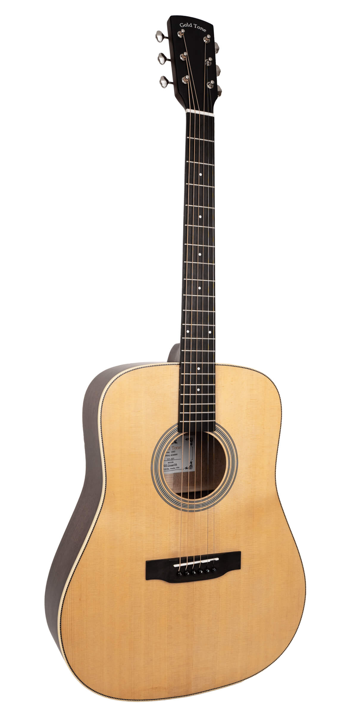 Gold Tone dreadnought acoustic guitar front view