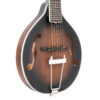 Gold Tone A-6 mando-guitar full front angle showing spruce top and cream binding