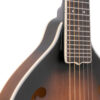 Gold Tone A-6 mando-guitar angled front view highlighting solid spruce top and maple sides
