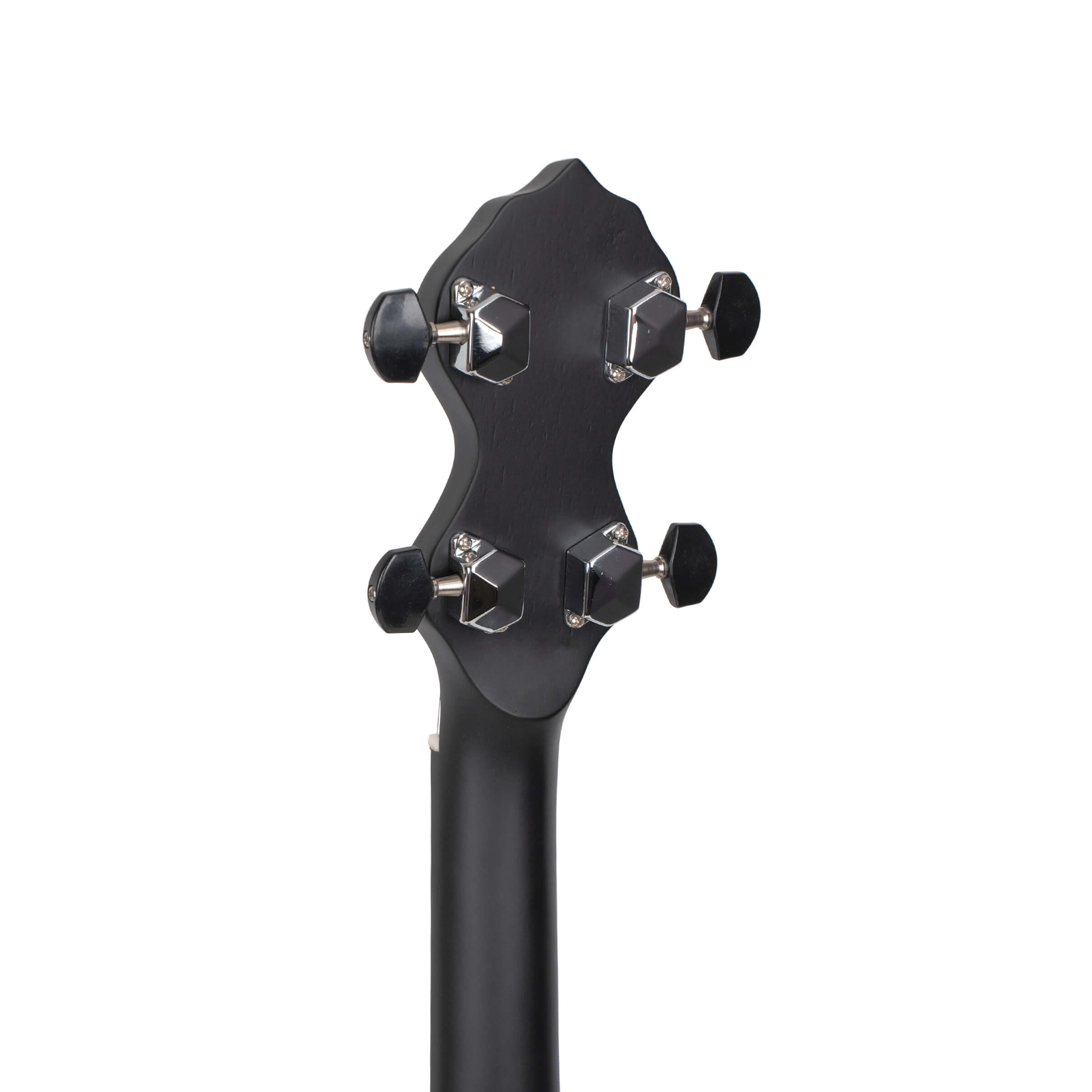 Gold Tone AC-12 banjo headstock close-up showing black tuner buttons and peghead truss rod access