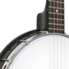 Gold Tone AC-1FL Lefty banjo front detail showing adjustable tailpiece and chrome hardware