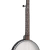 Gold Tone AC-1 banjo variant front view