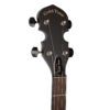 Gold Tone AC-4P banjo headstock front view showing covered tuners and black buttons