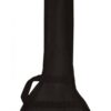 Gold Tone AC-5 acoustic composite banjo included gig bag with GT logo