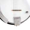 Gold Tone AC-6+ Banjitar three-quarter front view showing body depth and resonator