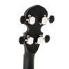 Gold Tone AC-Mini headstock detail showing black tuner buttons and Gold Tone logo