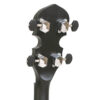 Gold Tone AC-Traveler headstock close-up showing Gold Tone logo and ZeroGlide nut
