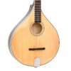 Gold Tone Banjola+ full front view with natural high gloss finish and chrome hardware