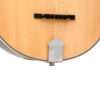 Gold Tone Banjola+ front detail showing bound rosewood fretboard and dot inlays