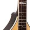 Gold Tone Banjola+ front view highlighting adjustable bridge and bridge-mounted pickup
