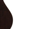 Gold Tone Banjola+ back detail showing curly stained maple finish and craftsmanship