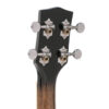 Gold Tone Banjolele headstock close-up with metal buttons and chrome hardware
