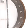 Gold Tone Banjolele back view showing multi-ply maple rim and vintage brown finish